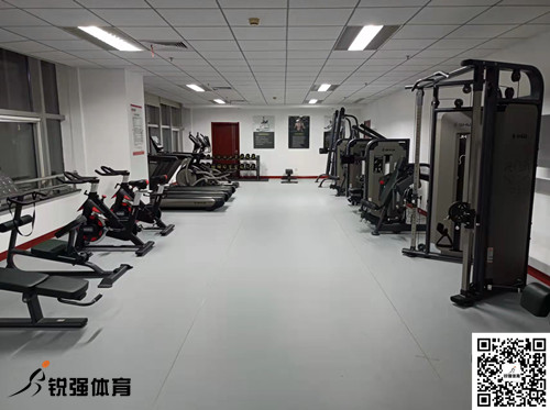 济南某集团采购的v00008威尼斯提供的健身器材